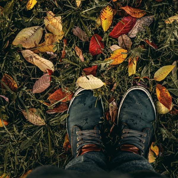 Featured Work