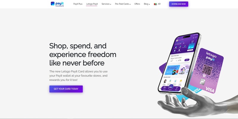 Screenshot of Project Two - A Nuxt.js Application for Payit